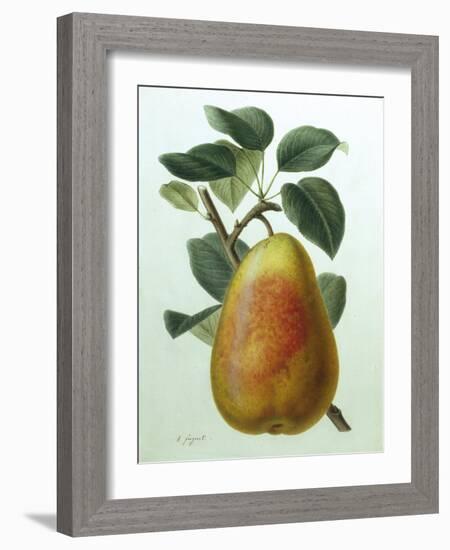 Study of a Pear-Adrienne Faguet-Framed Giclee Print