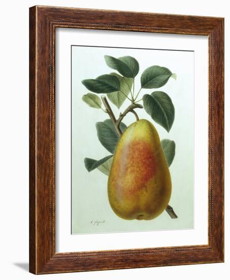 Study of a Pear-Adrienne Faguet-Framed Giclee Print