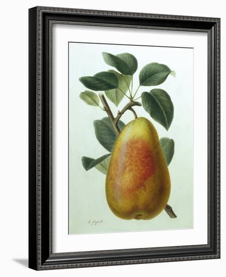 Study of a Pear-Adrienne Faguet-Framed Giclee Print