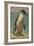 Study of a Penguin-Henry Stacey Marks-Framed Giclee Print