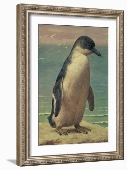 Study of a Penguin-Henry Stacey Marks-Framed Giclee Print