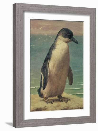 Study of a Penguin-Henry Stacey Marks-Framed Giclee Print