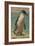 Study of a Penguin-Henry Stacey Marks-Framed Giclee Print