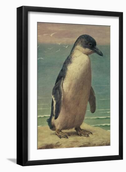 Study of a Penguin-Henry Stacey Marks-Framed Giclee Print