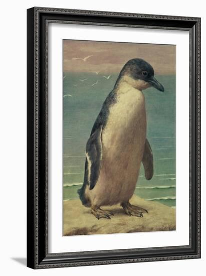 Study of a Penguin-Henry Stacey Marks-Framed Giclee Print