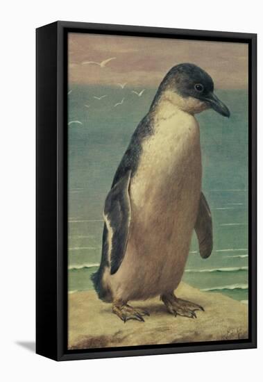 Study of a Penguin-Henry Stacey Marks-Framed Premier Image Canvas