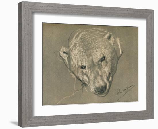 'Study of a Polar Bear's Head', c1901-John MacAllan Swan-Framed Giclee Print