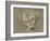 'Study of a Polar Bear's Head', c1901-John MacAllan Swan-Framed Giclee Print