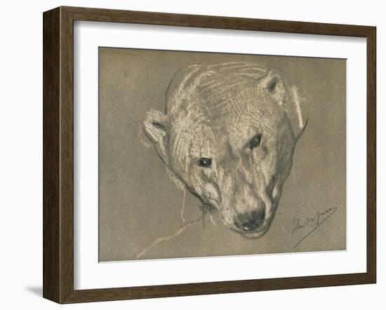 'Study of a Polar Bear's Head', c1901-John MacAllan Swan-Framed Giclee Print