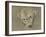 'Study of a Polar Bear's Head', c1901-John MacAllan Swan-Framed Giclee Print