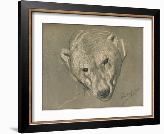 'Study of a Polar Bear's Head', c1901-John MacAllan Swan-Framed Giclee Print