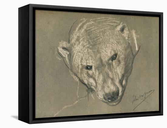 'Study of a Polar Bear's Head', c1901-John MacAllan Swan-Framed Premier Image Canvas