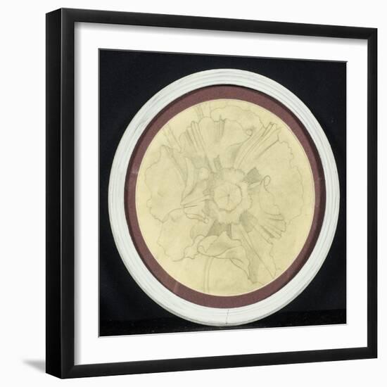 Study of a Poppy Papaver Orientale (Pencil on Paper)-John Northcote Nash-Framed Giclee Print