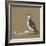 Study of a Razorbill-German School-Framed Giclee Print