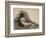 Study of a Reclining Nude Woman, 1863-66 (Charcoal on Paper)-Thomas Cowperthwait Eakins-Framed Giclee Print