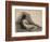 Study of a Reclining Nude Woman, 1863-66 (Charcoal on Paper)-Thomas Cowperthwait Eakins-Framed Giclee Print