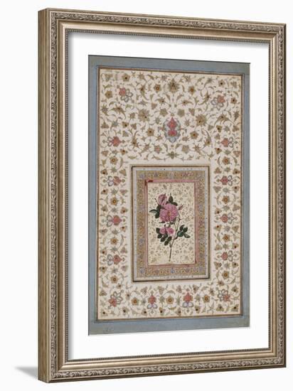 Study of a Rose-null-Framed Giclee Print