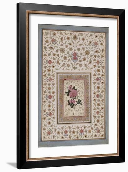 Study of a Rose-null-Framed Giclee Print