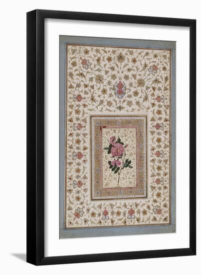 Study of a Rose-null-Framed Giclee Print