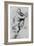 Study of a Satyr, 1913-Peter Paul Rubens-Framed Giclee Print