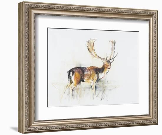 Study of a Stag-Mark Adlington-Framed Giclee Print