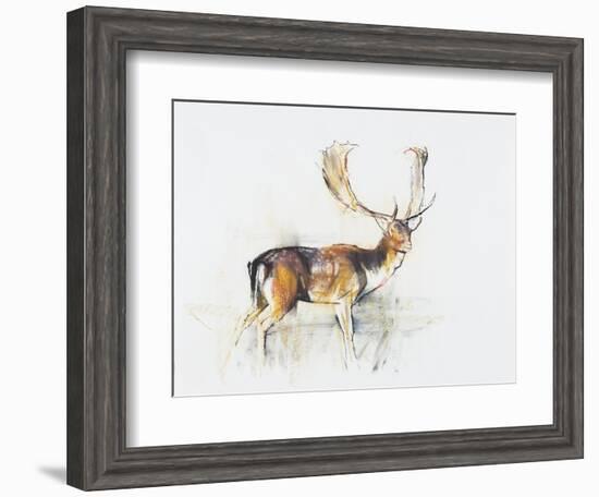 Study of a Stag-Mark Adlington-Framed Giclee Print