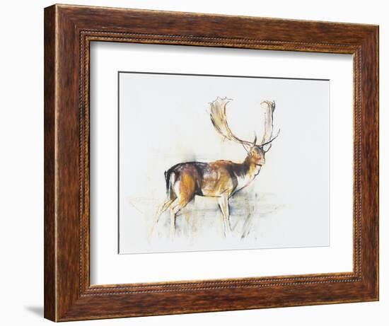 Study of a Stag-Mark Adlington-Framed Giclee Print