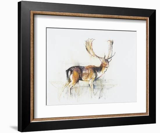 Study of a Stag-Mark Adlington-Framed Giclee Print