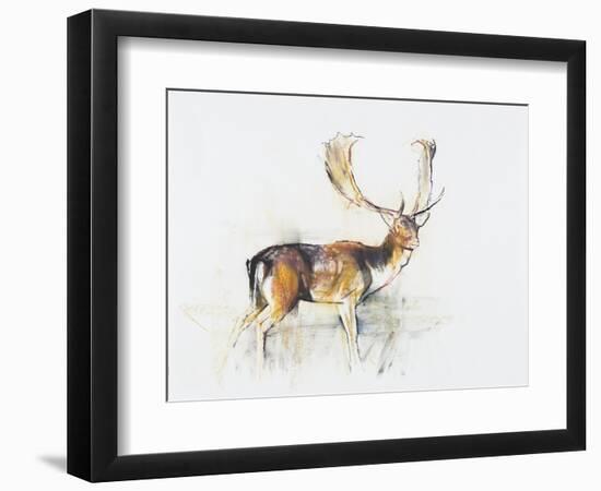 Study of a Stag-Mark Adlington-Framed Giclee Print