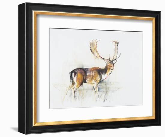 Study of a Stag-Mark Adlington-Framed Giclee Print