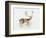 Study of a Stag-Mark Adlington-Framed Giclee Print