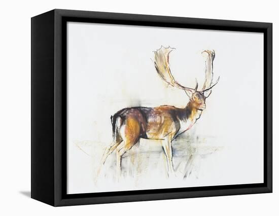 Study of a Stag-Mark Adlington-Framed Premier Image Canvas