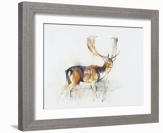 Study of a Stag-Mark Adlington-Framed Giclee Print