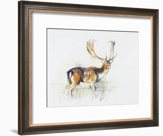 Study of a Stag-Mark Adlington-Framed Giclee Print