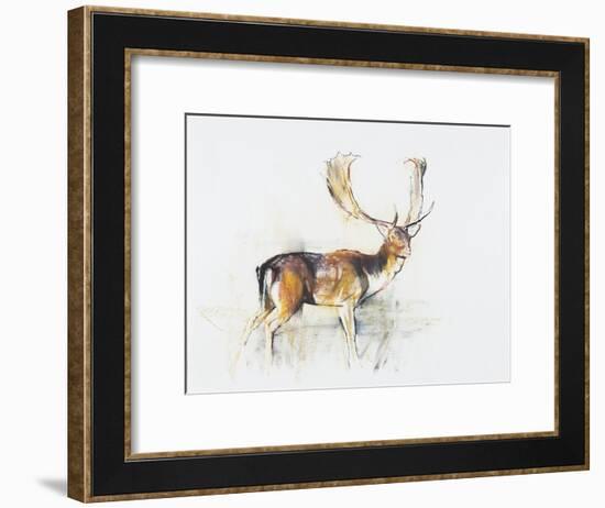 Study of a Stag-Mark Adlington-Framed Giclee Print