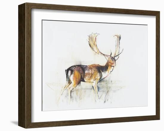 Study of a Stag-Mark Adlington-Framed Giclee Print