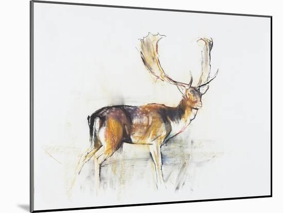 Study of a Stag-Mark Adlington-Mounted Giclee Print