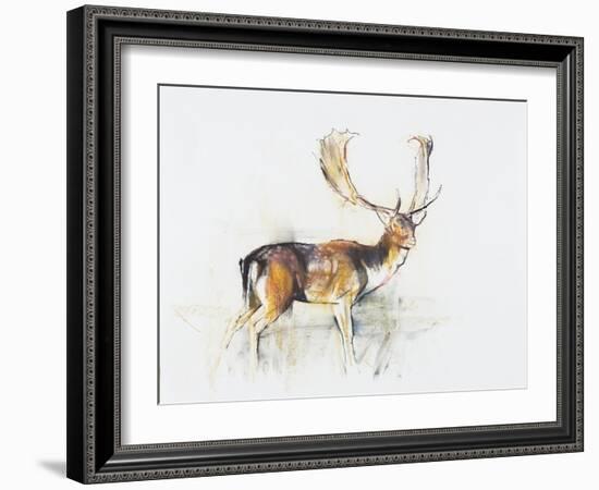 Study of a Stag-Mark Adlington-Framed Giclee Print