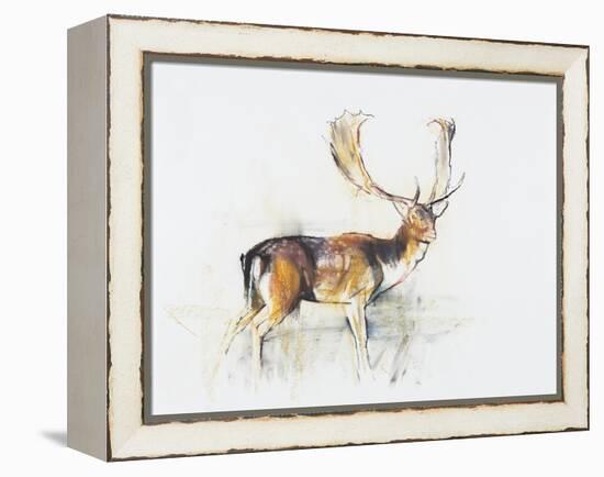 Study of a Stag-Mark Adlington-Framed Premier Image Canvas