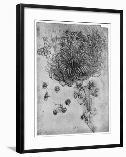 Study of a Star of Bethlehem Plant, 1505-1507-Leonardo da Vinci-Framed Giclee Print