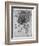 Study of a Star of Bethlehem Plant, 1505-1507-Leonardo da Vinci-Framed Giclee Print