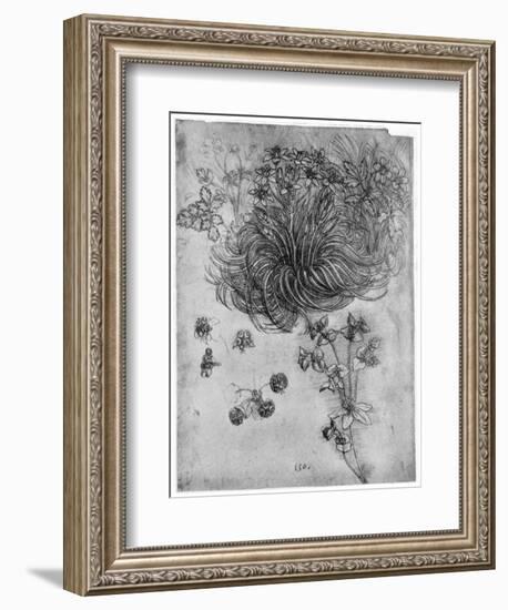 Study of a Star of Bethlehem Plant, 1505-1507-Leonardo da Vinci-Framed Giclee Print