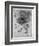 Study of a Star of Bethlehem Plant, 1505-1507-Leonardo da Vinci-Framed Giclee Print