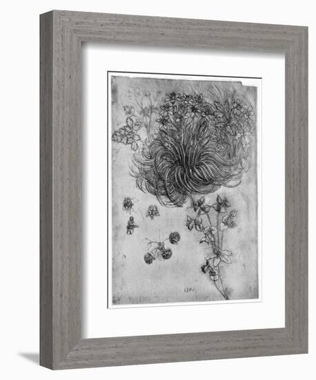 Study of a Star of Bethlehem Plant, 1505-1507-Leonardo da Vinci-Framed Giclee Print