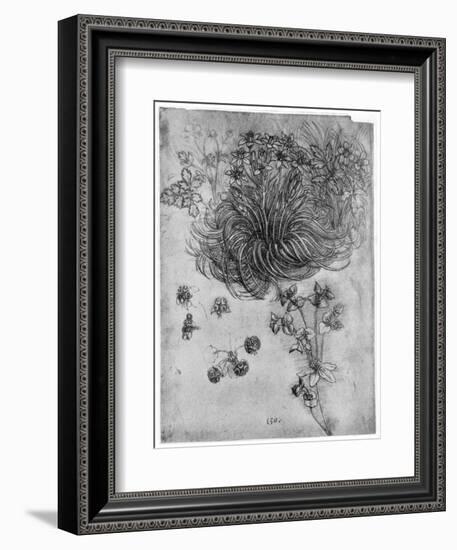 Study of a Star of Bethlehem Plant, 1505-1507-Leonardo da Vinci-Framed Giclee Print