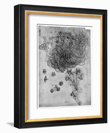 Study of a Star of Bethlehem Plant, 1505-1507-Leonardo da Vinci-Framed Giclee Print