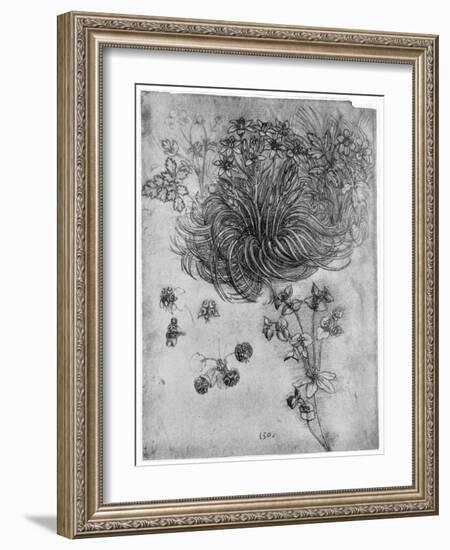 Study of a Star of Bethlehem Plant, 1505-1507-Leonardo da Vinci-Framed Giclee Print