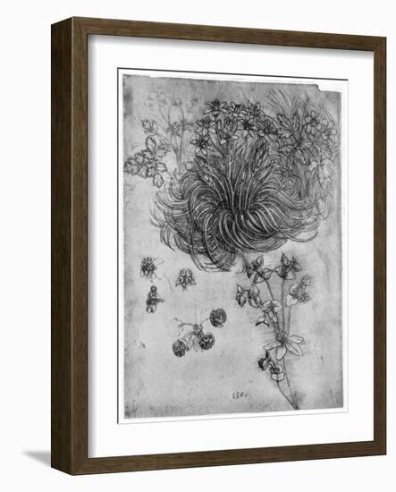 Study of a Star of Bethlehem Plant, 1505-1507-Leonardo da Vinci-Framed Giclee Print