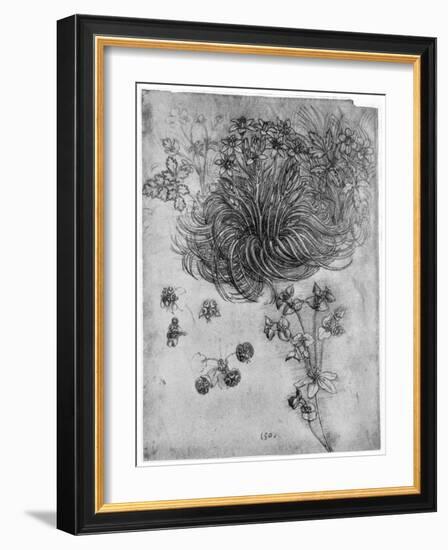 Study of a Star of Bethlehem Plant, 1505-1507-Leonardo da Vinci-Framed Giclee Print