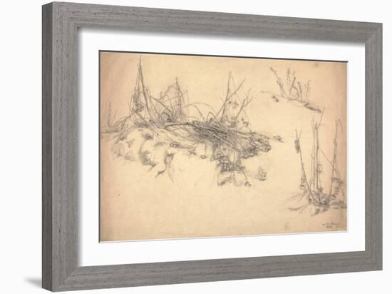 Study of a Thistle, March 24, 1855 (Graphite on Paper)-German School-Framed Giclee Print